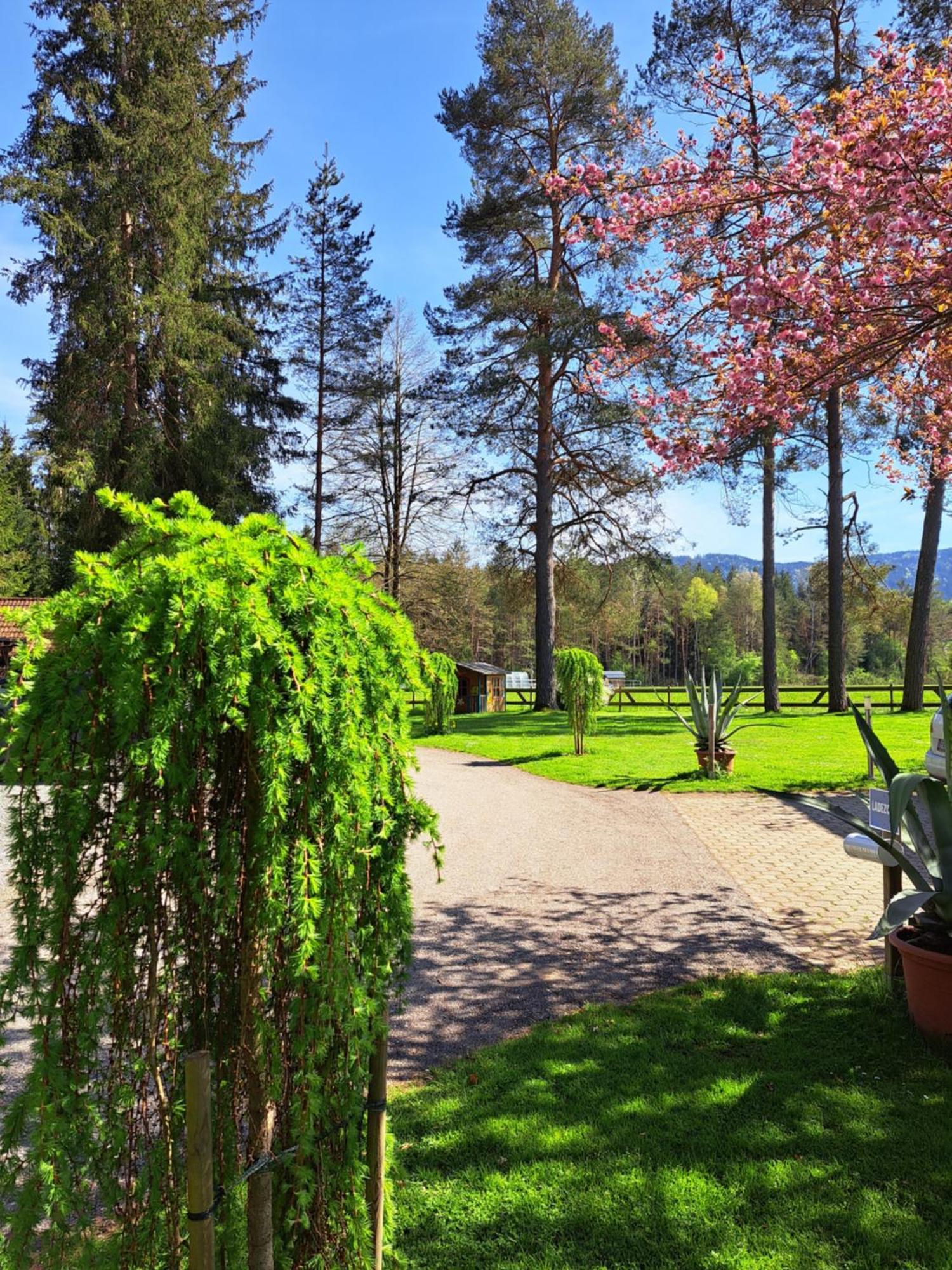 Pension Fischinger Feldkirchen in Kärnten Exterior photo